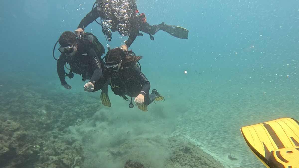 Margullar Diving photo 9