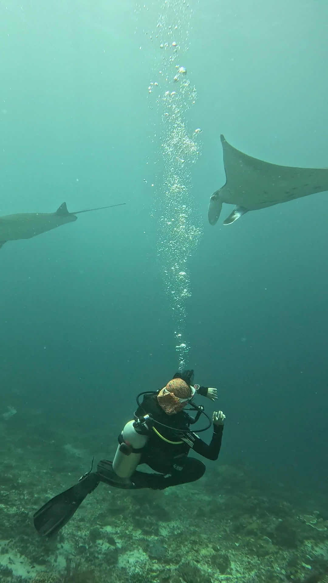 Mako Diving Komodo photo 7