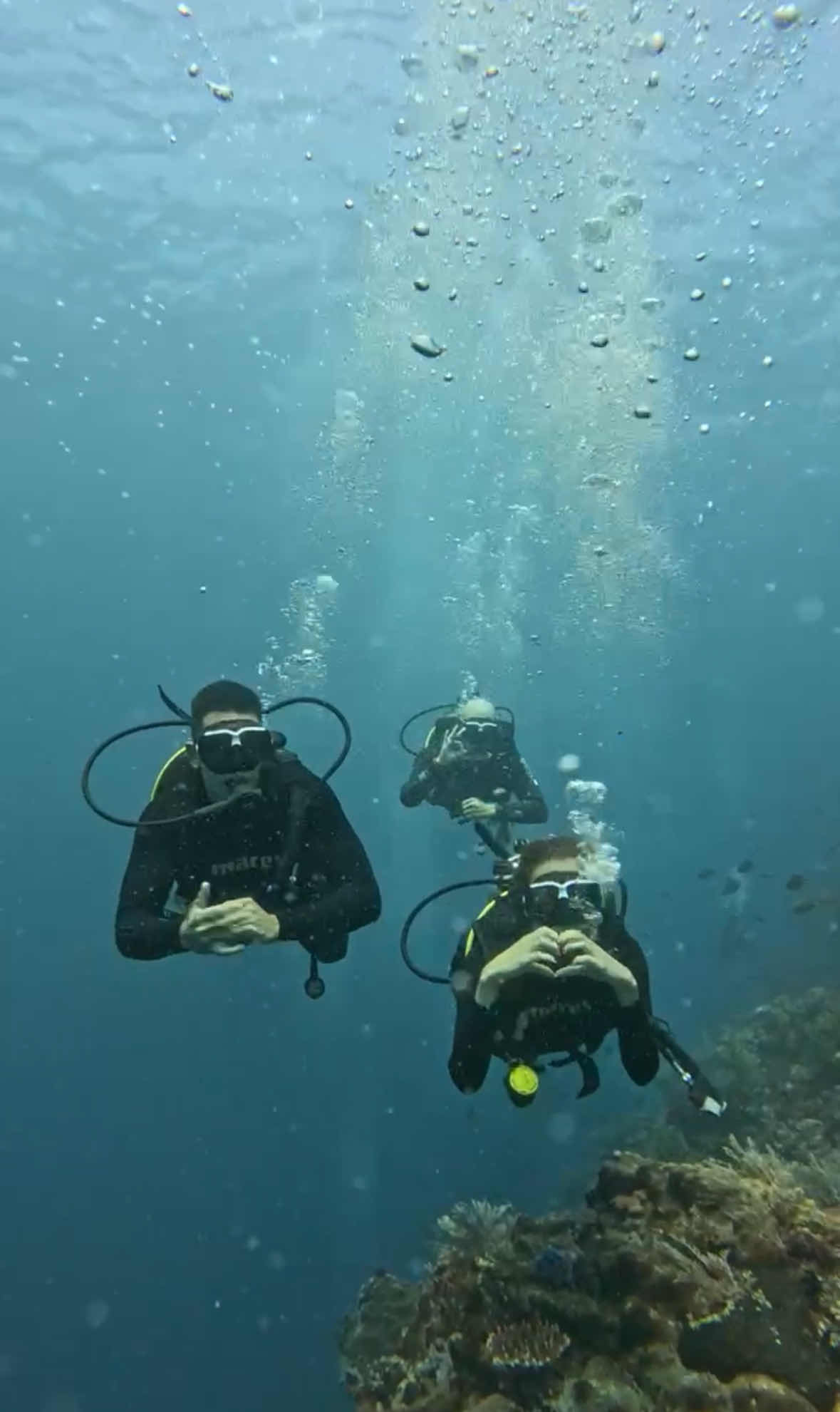 Mako Diving Komodo photo 8