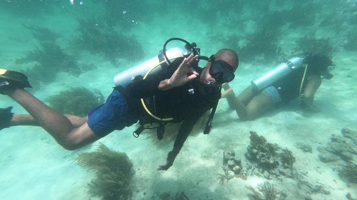 Bocas Tec Diving photo 1