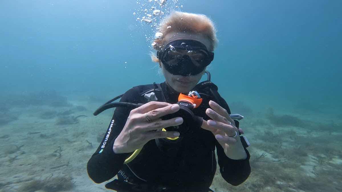 Bocas Tec Diving photo 10