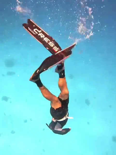 OceanSense Freediving - Airlie Beach photo 3