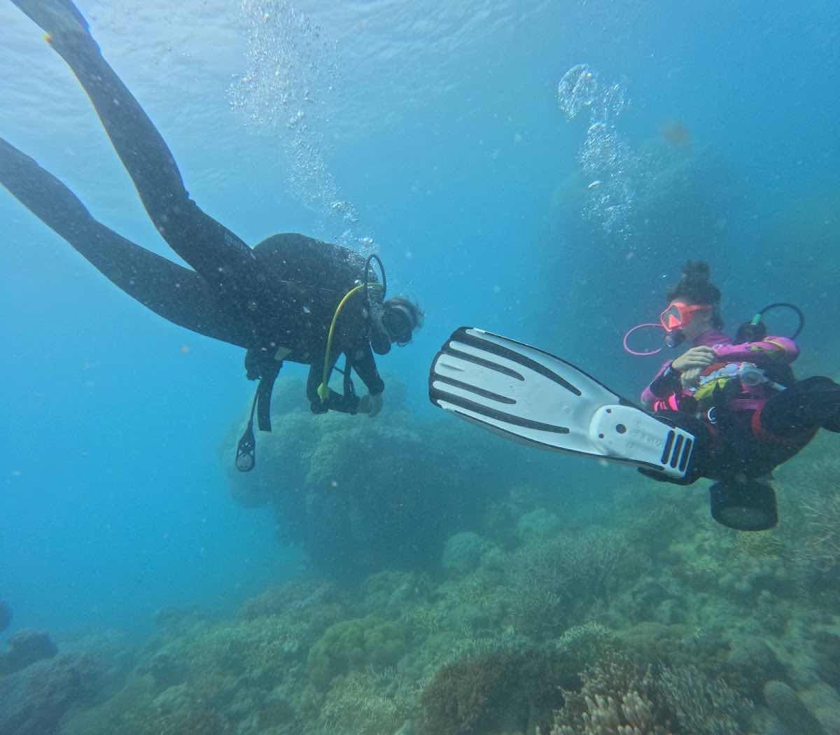 OceanSense Freediving - Airlie Beach photo 5