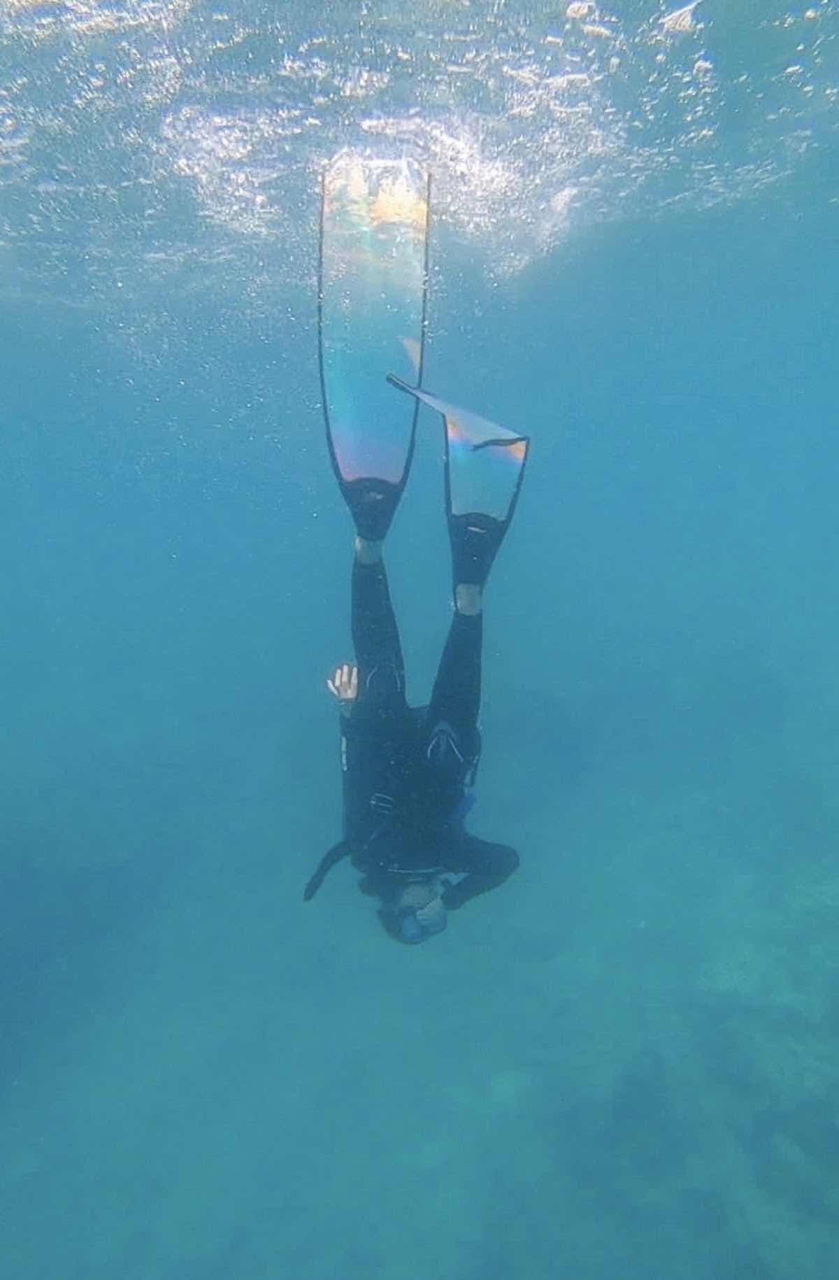 OceanSense Freediving - Airlie Beach photo 9
