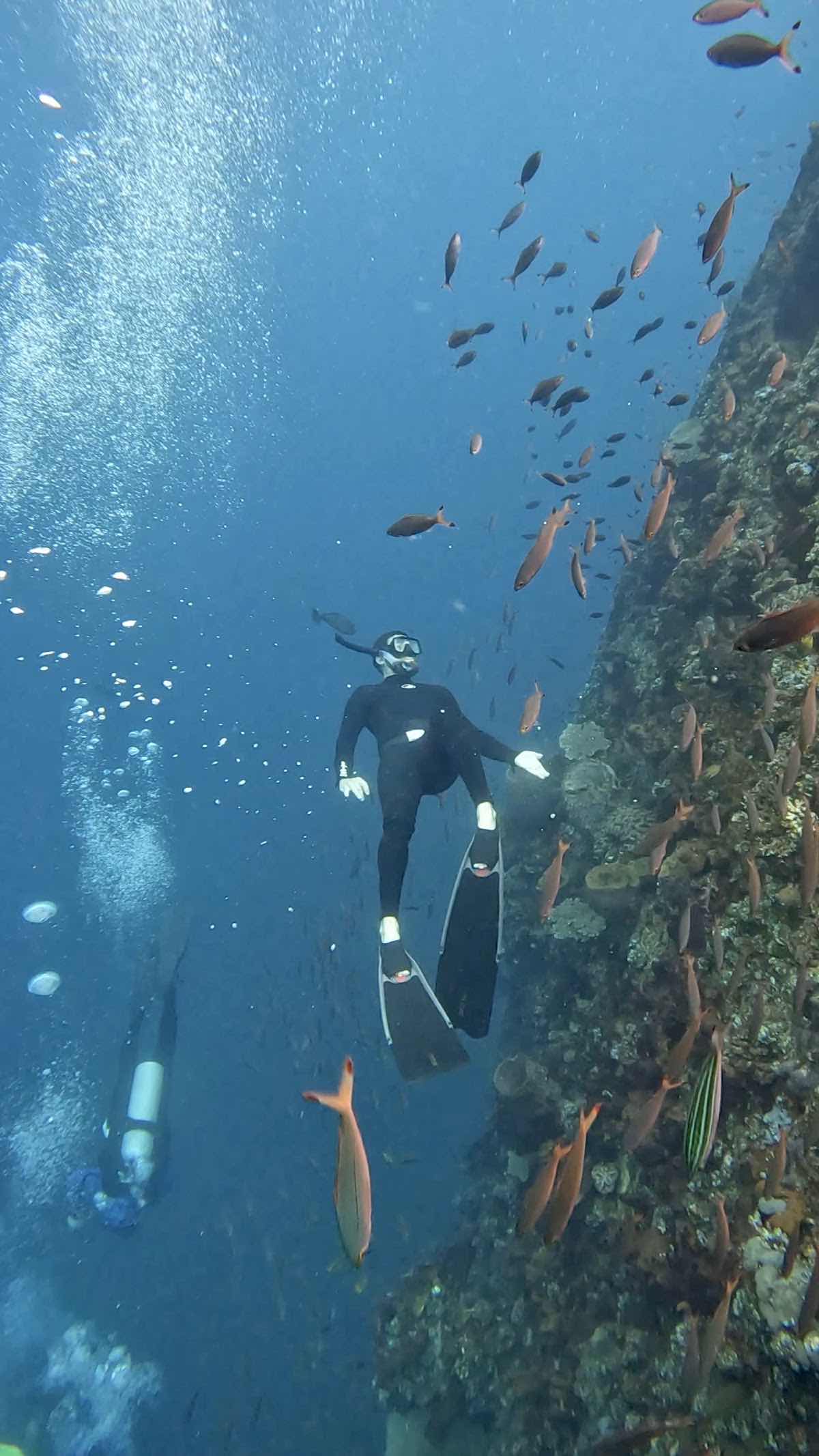 OceanSense Freediving - Airlie Beach photo 10