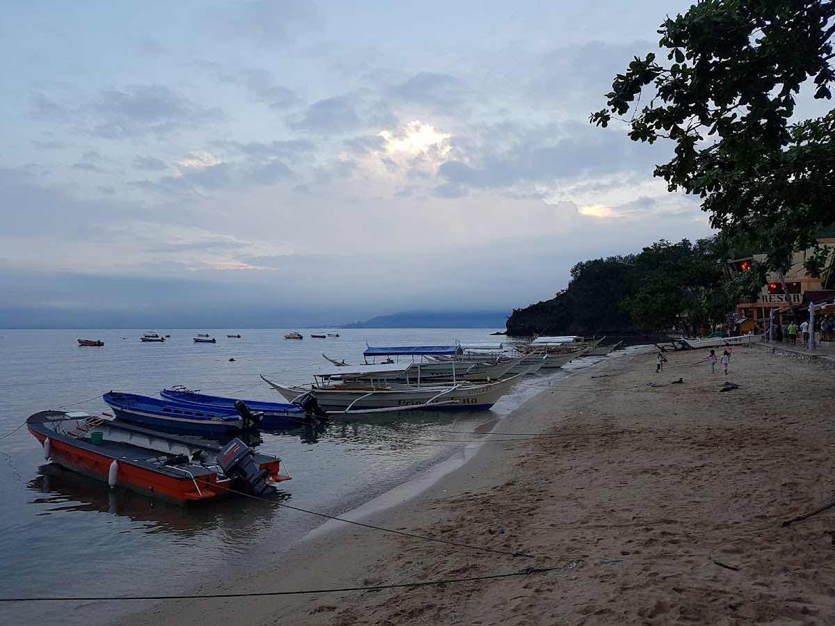 Puerto Galera Divers photo 10