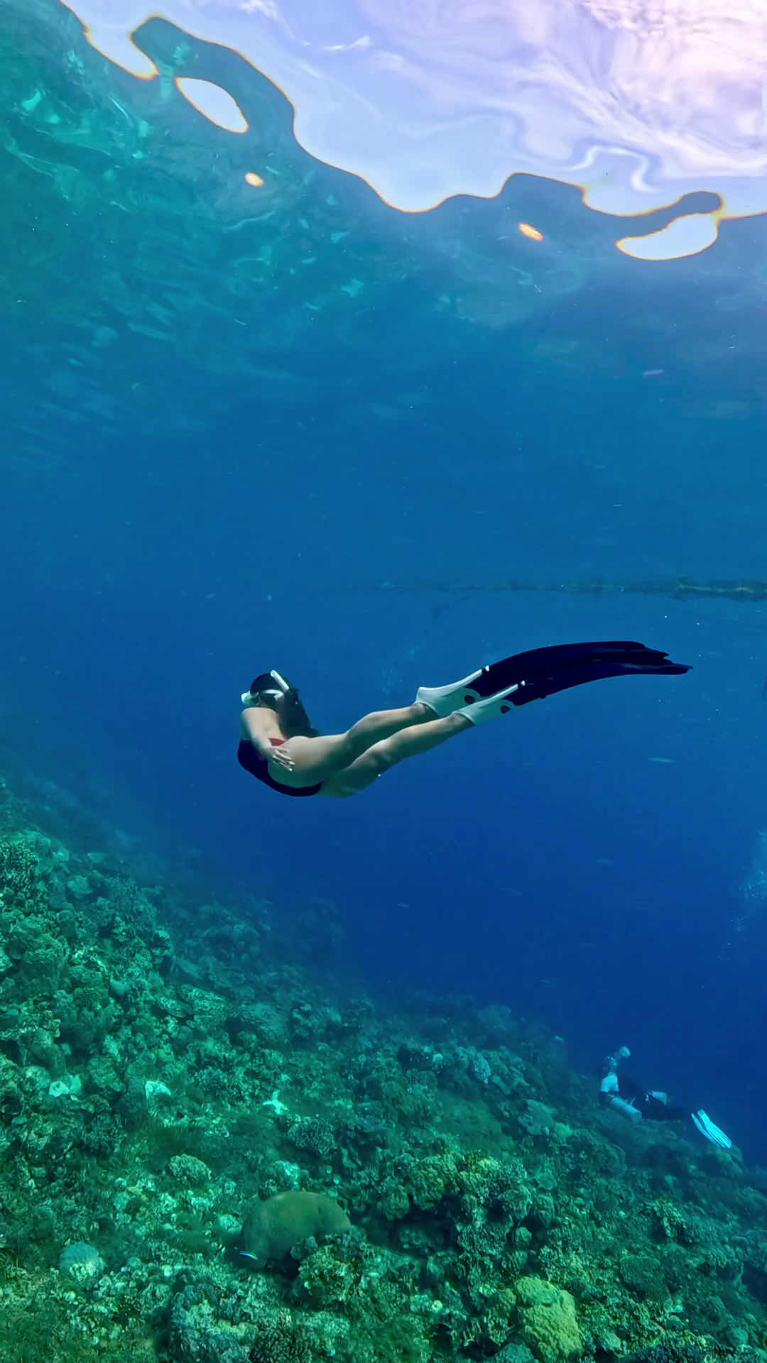 Panglao Freediving Adventures photo 1