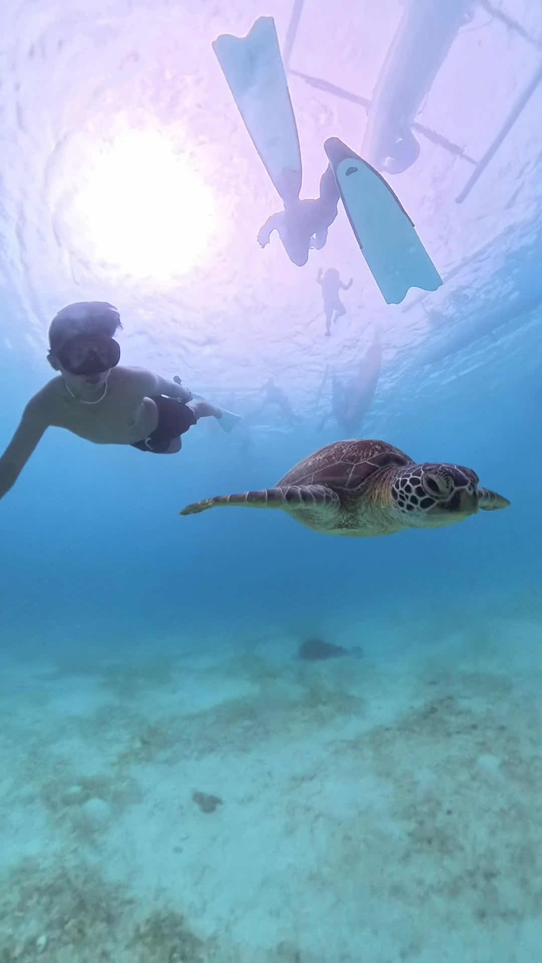 Panglao Freediving Adventures photo 3