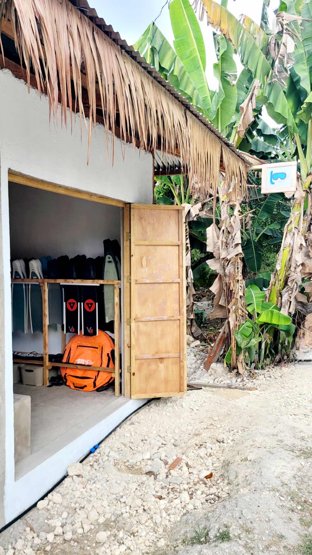 Panglao Freediving Adventures photo 4