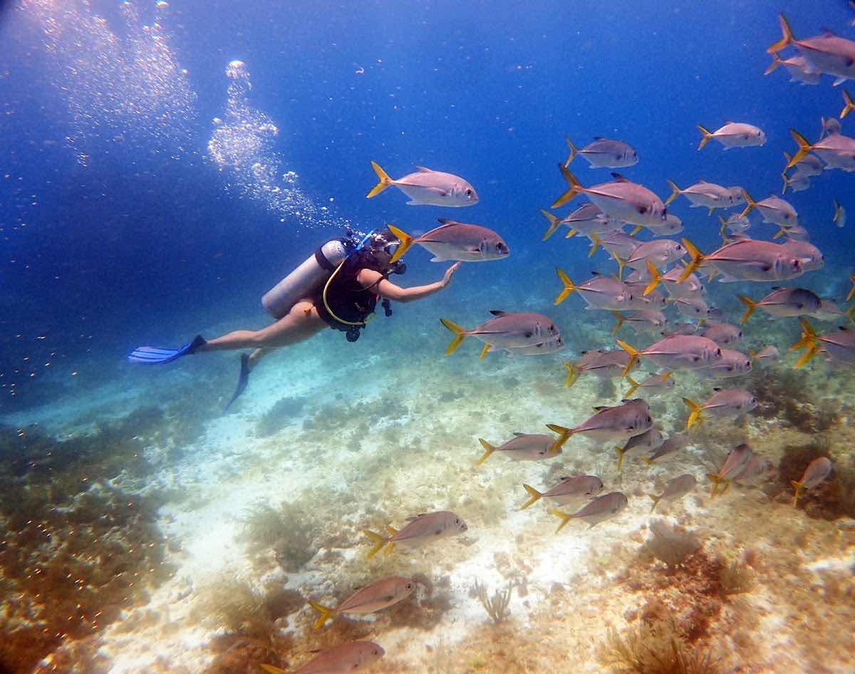 Riviera Maya Diving Adventures photo 5