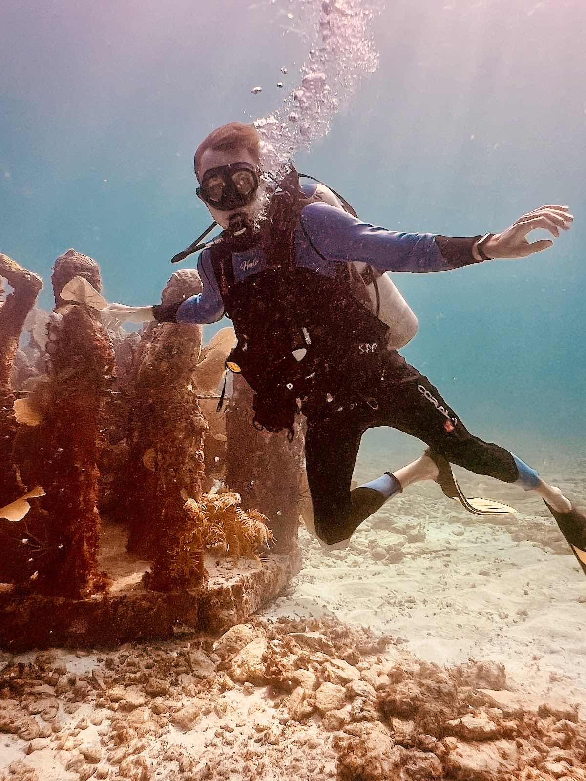 Riviera Maya Diving Adventures photo 7