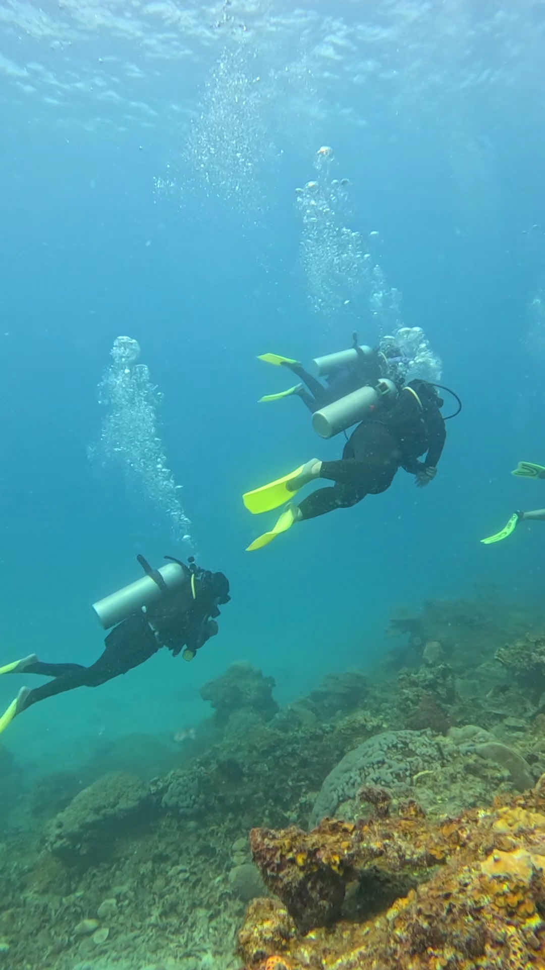 Remora Divers - Scuba Diving Centre photo 2