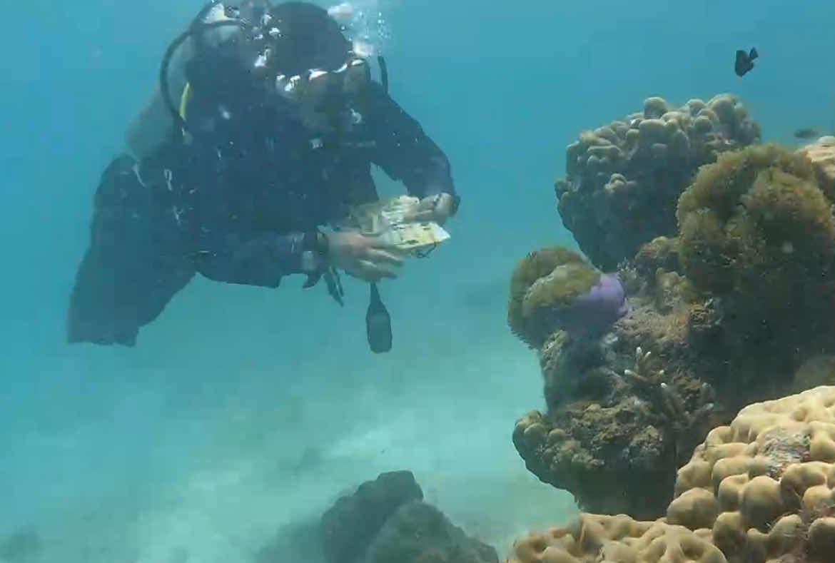 Remora Divers - Scuba Diving Centre photo 3