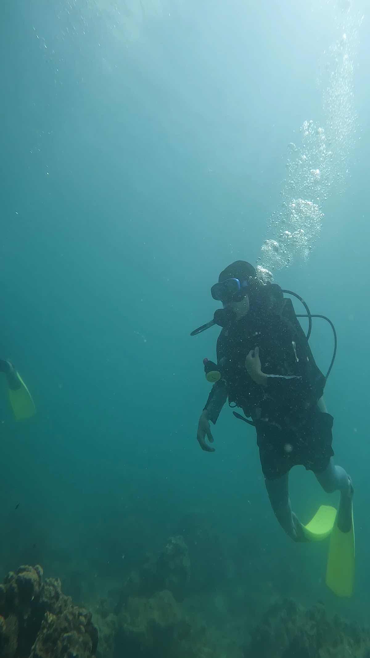 Remora Divers - Scuba Diving Centre photo 4