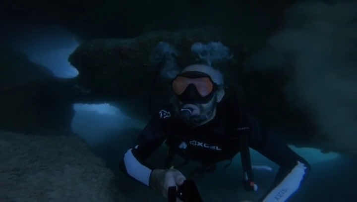 Panama Dive School photo 3
