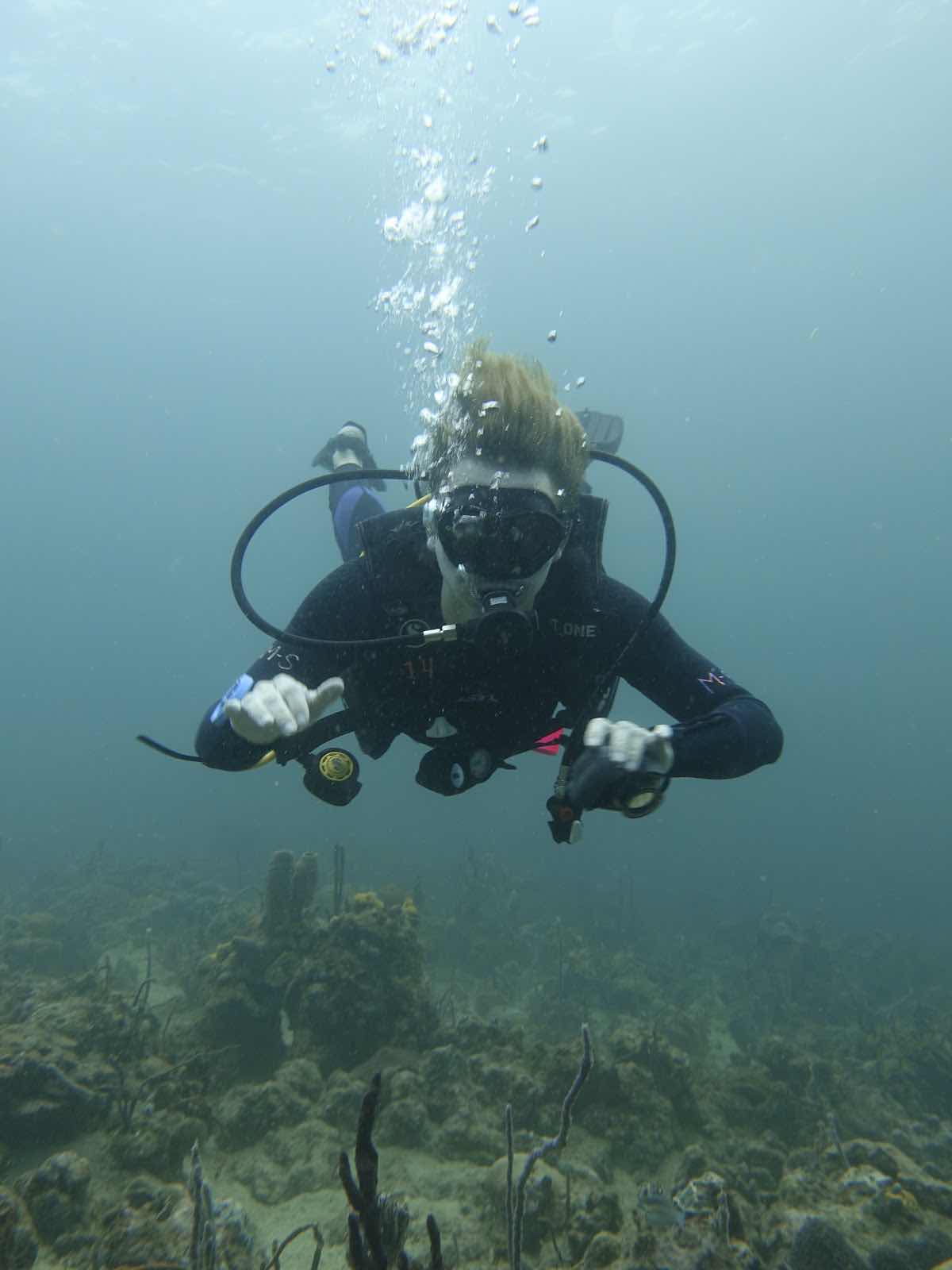 Panama Dive School photo 5