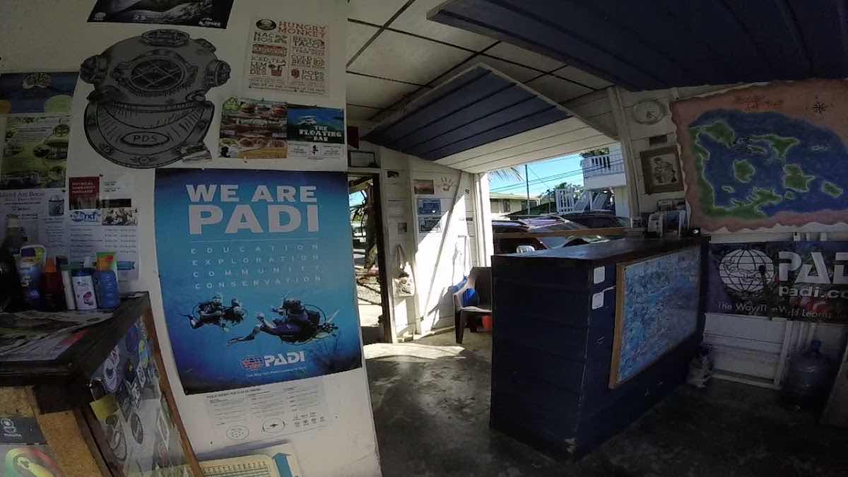 Panama Dive School photo 6