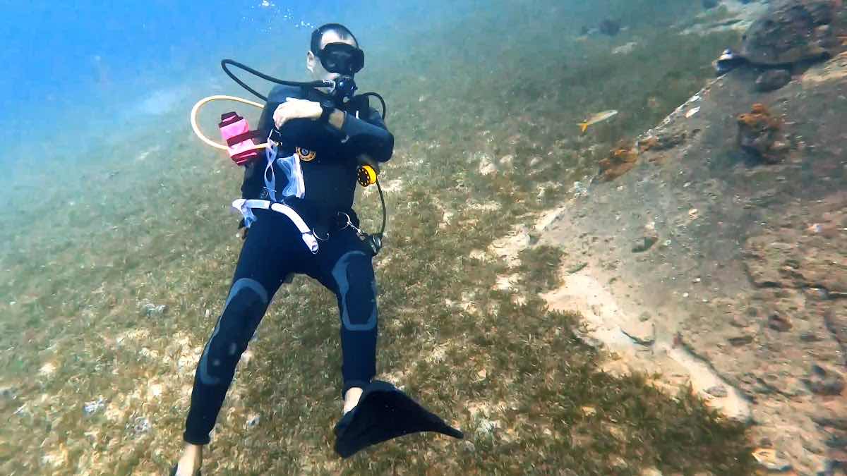 Aruba Dive 4 Life photo 10