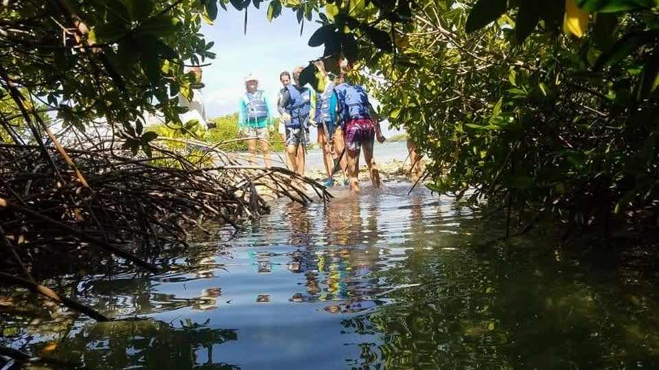 Aruba Outdoor Adventures photo 4