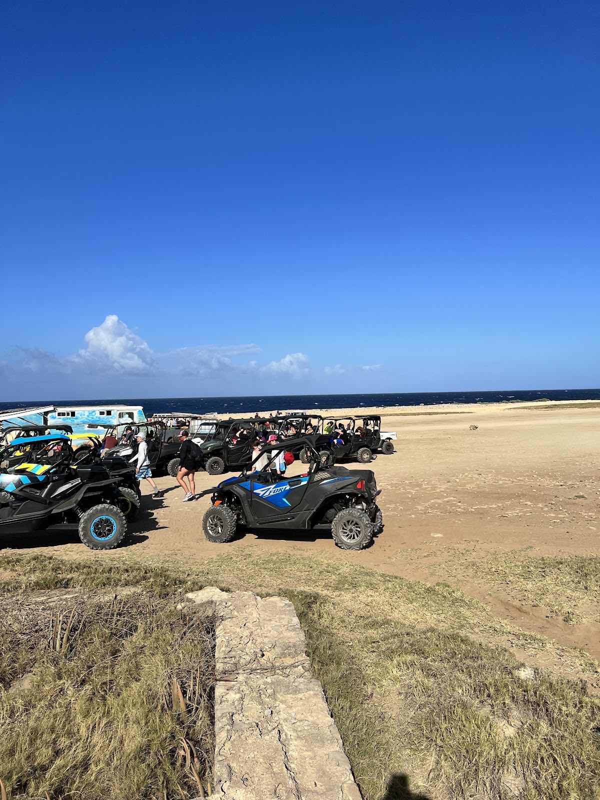 Aruba Outdoor Adventures photo 6