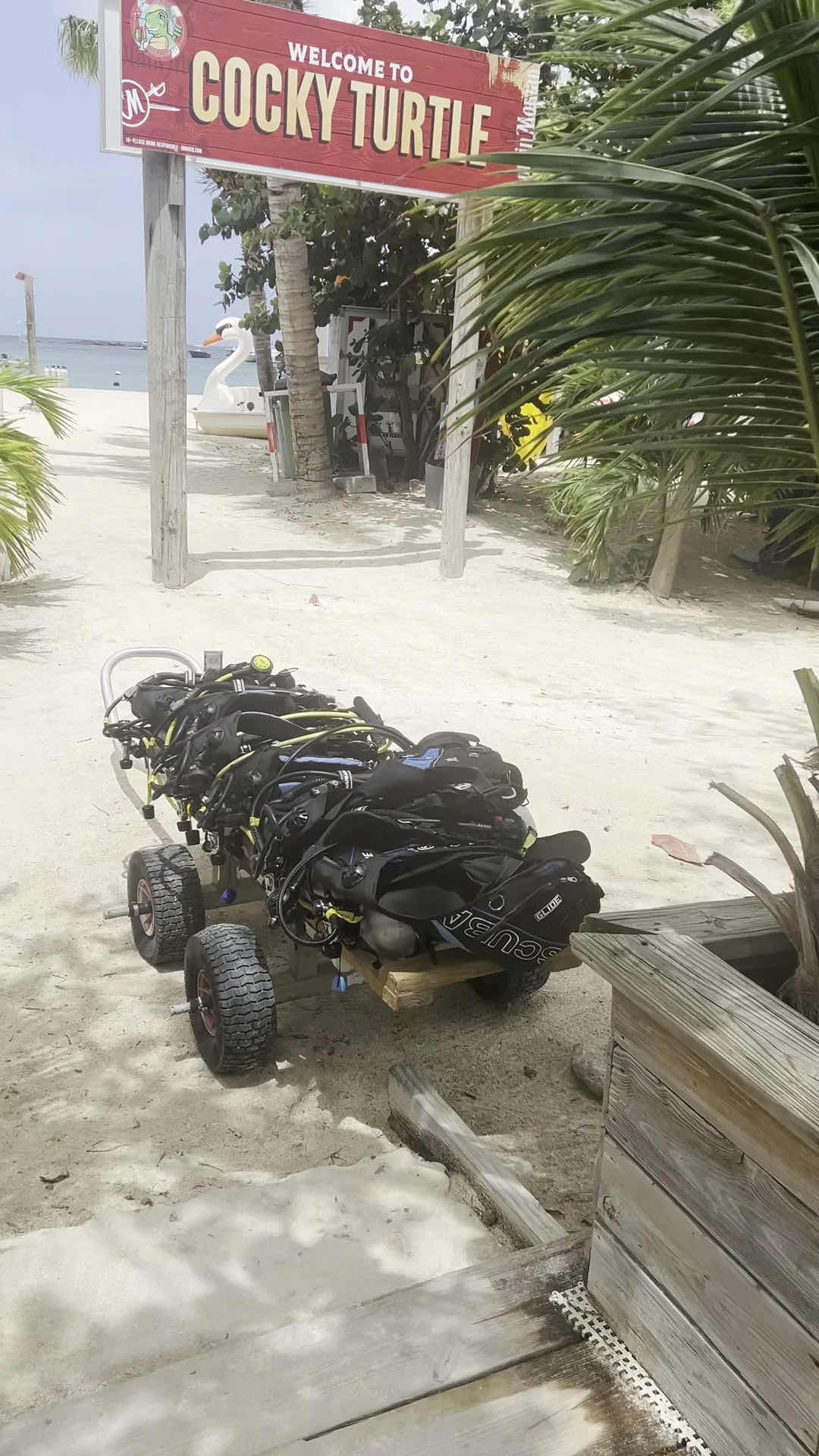 Ocean Explorers Dive Center photo 3