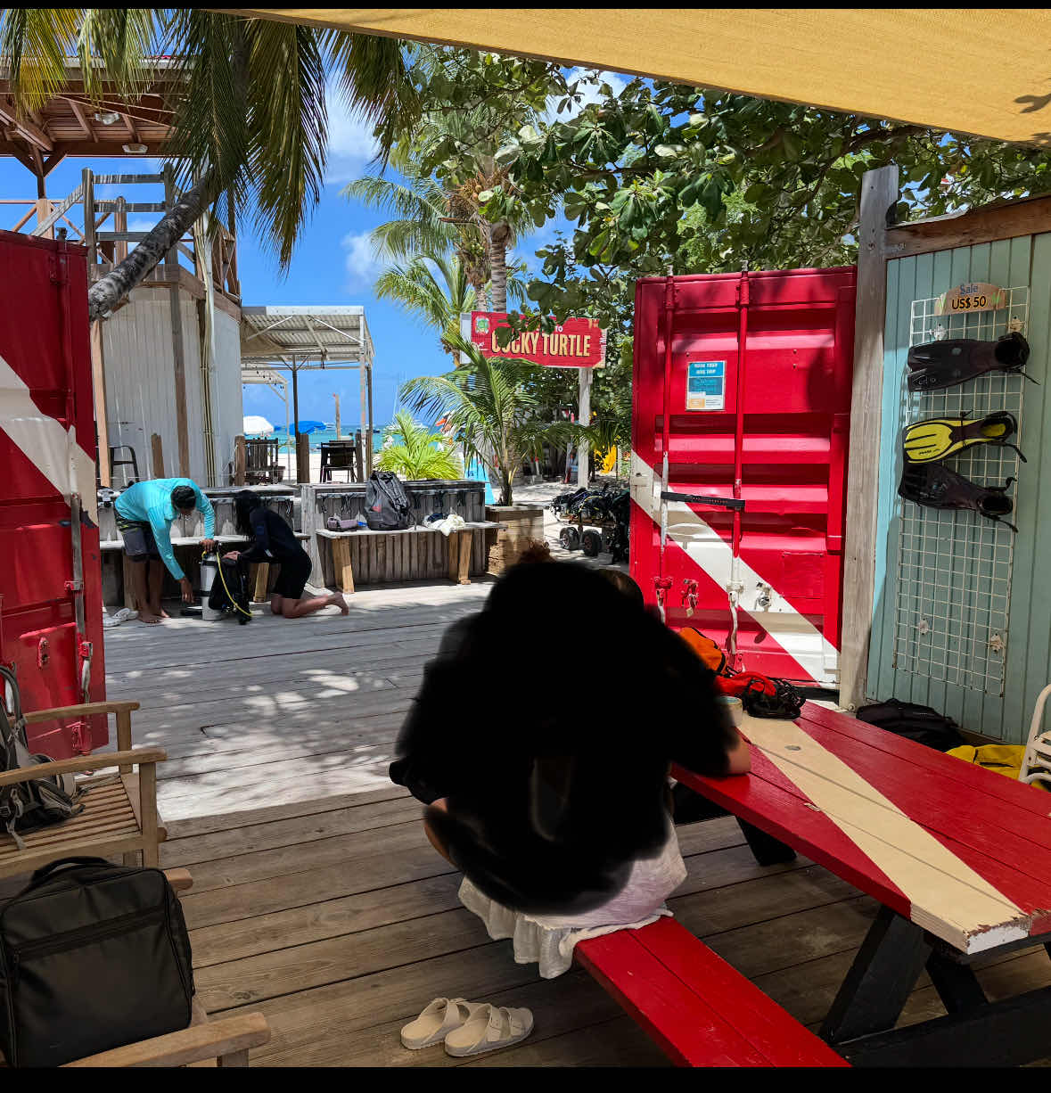Ocean Explorers Dive Center photo 4