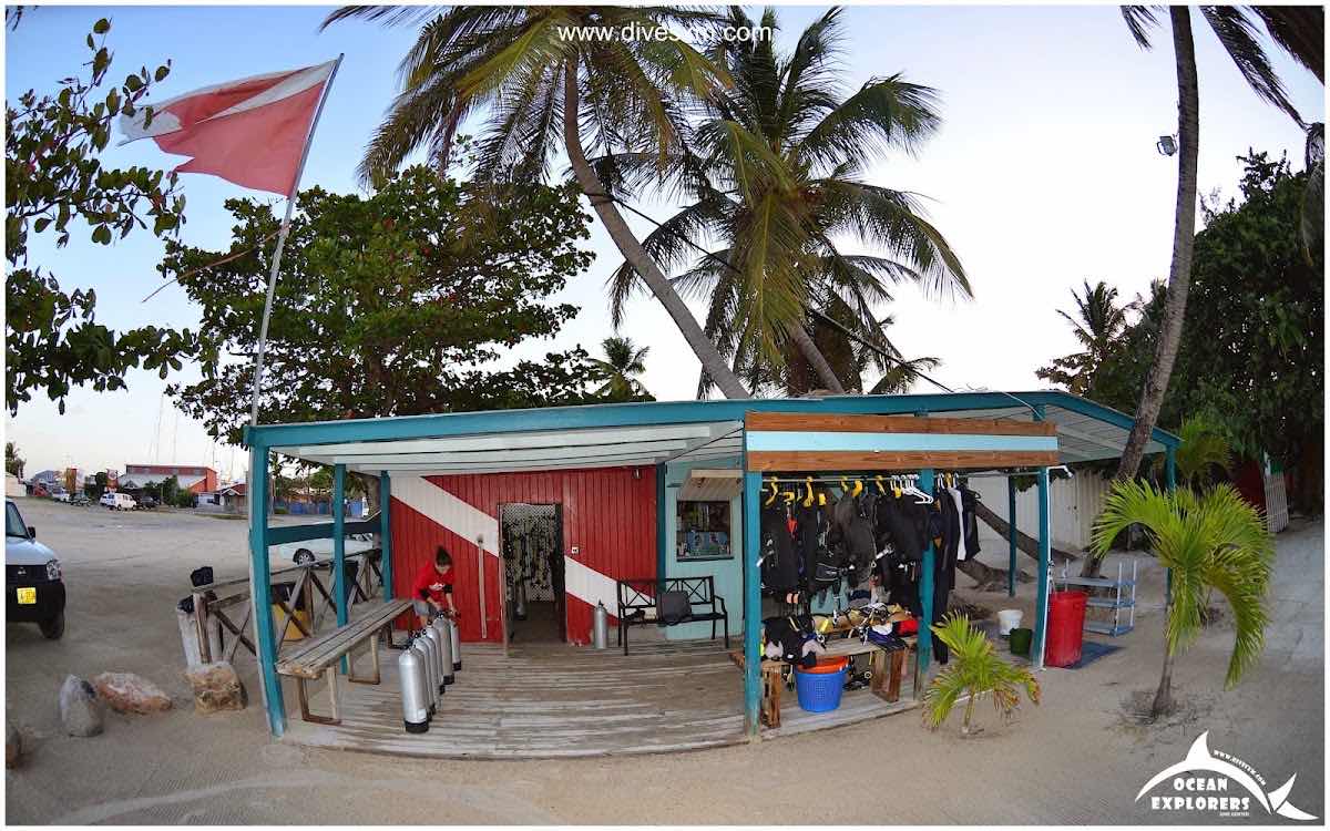Ocean Explorers Dive Center photo 7
