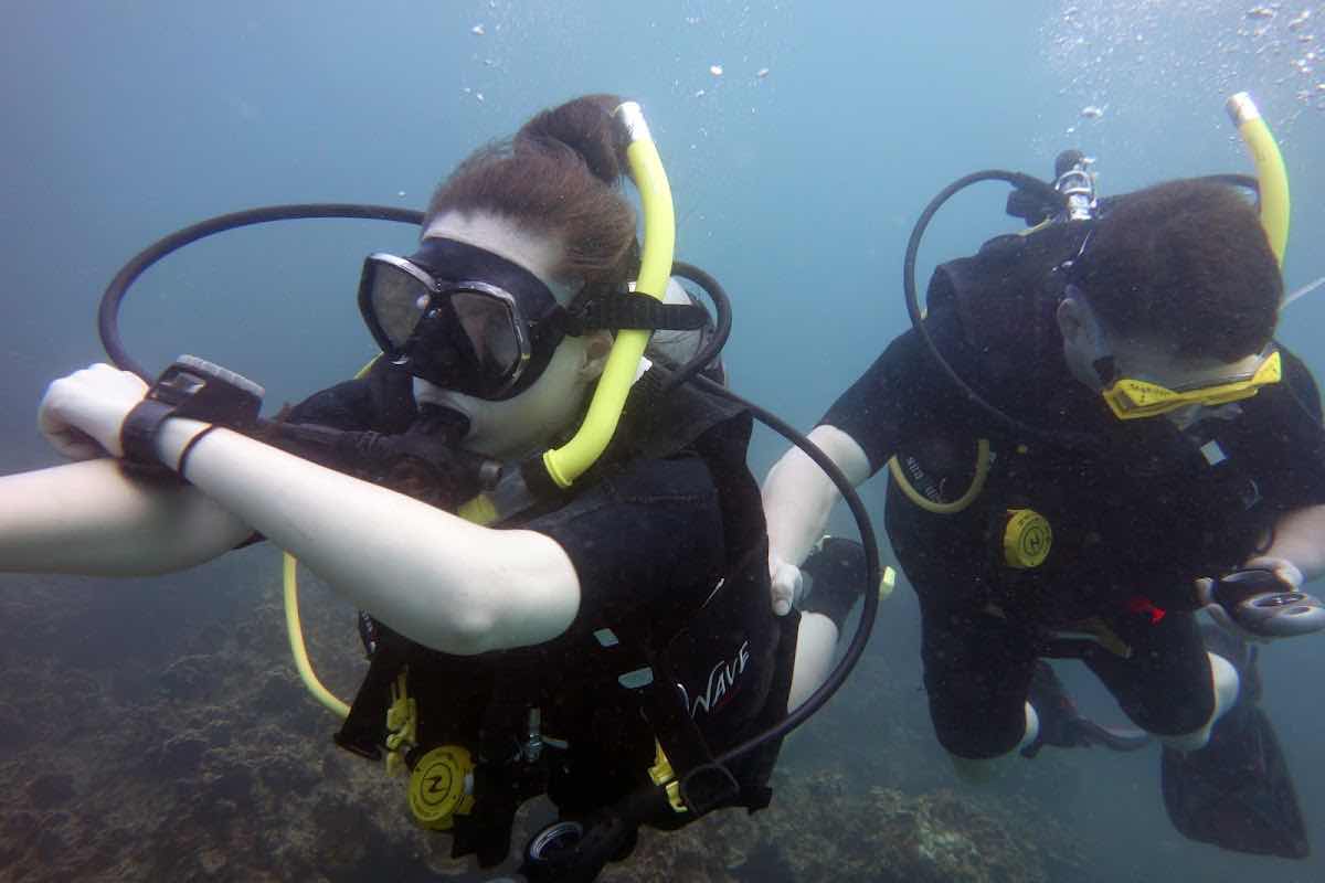Searobin Dive Center photo 2