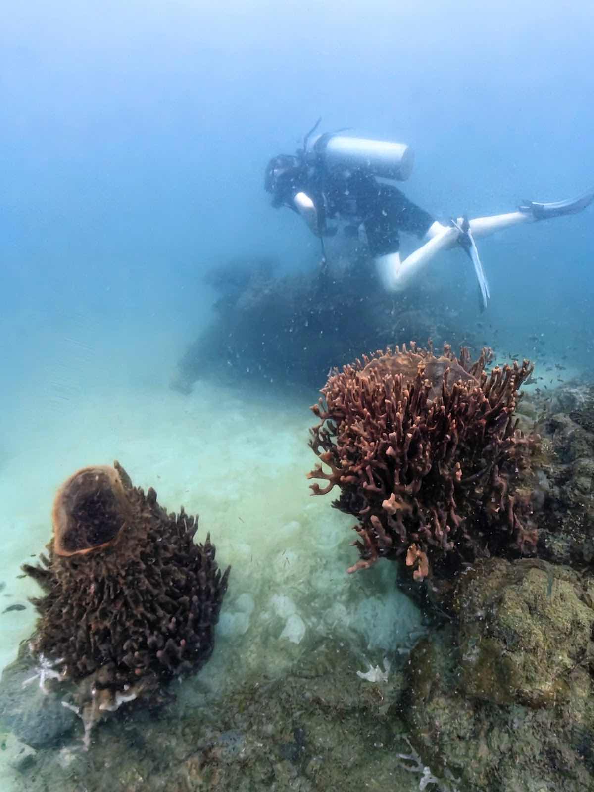 Vietnam Explorer PADI Dive Center photo 6
