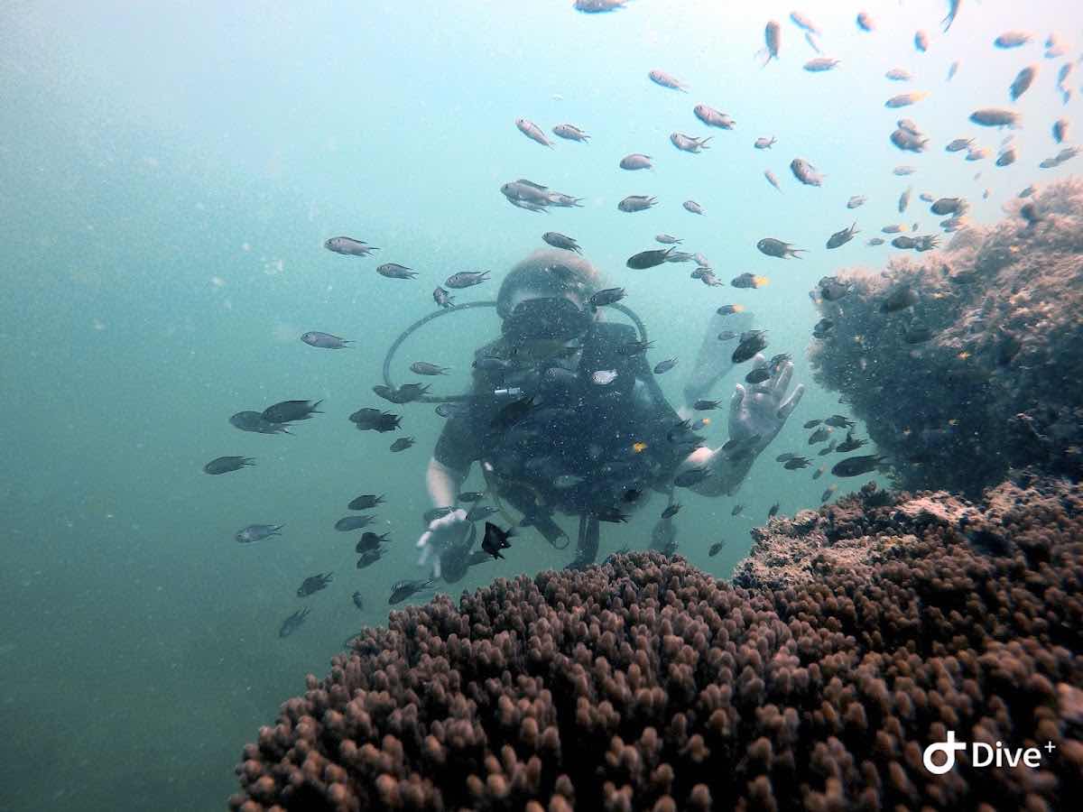 Vietnam Explorer PADI Dive Center photo 10