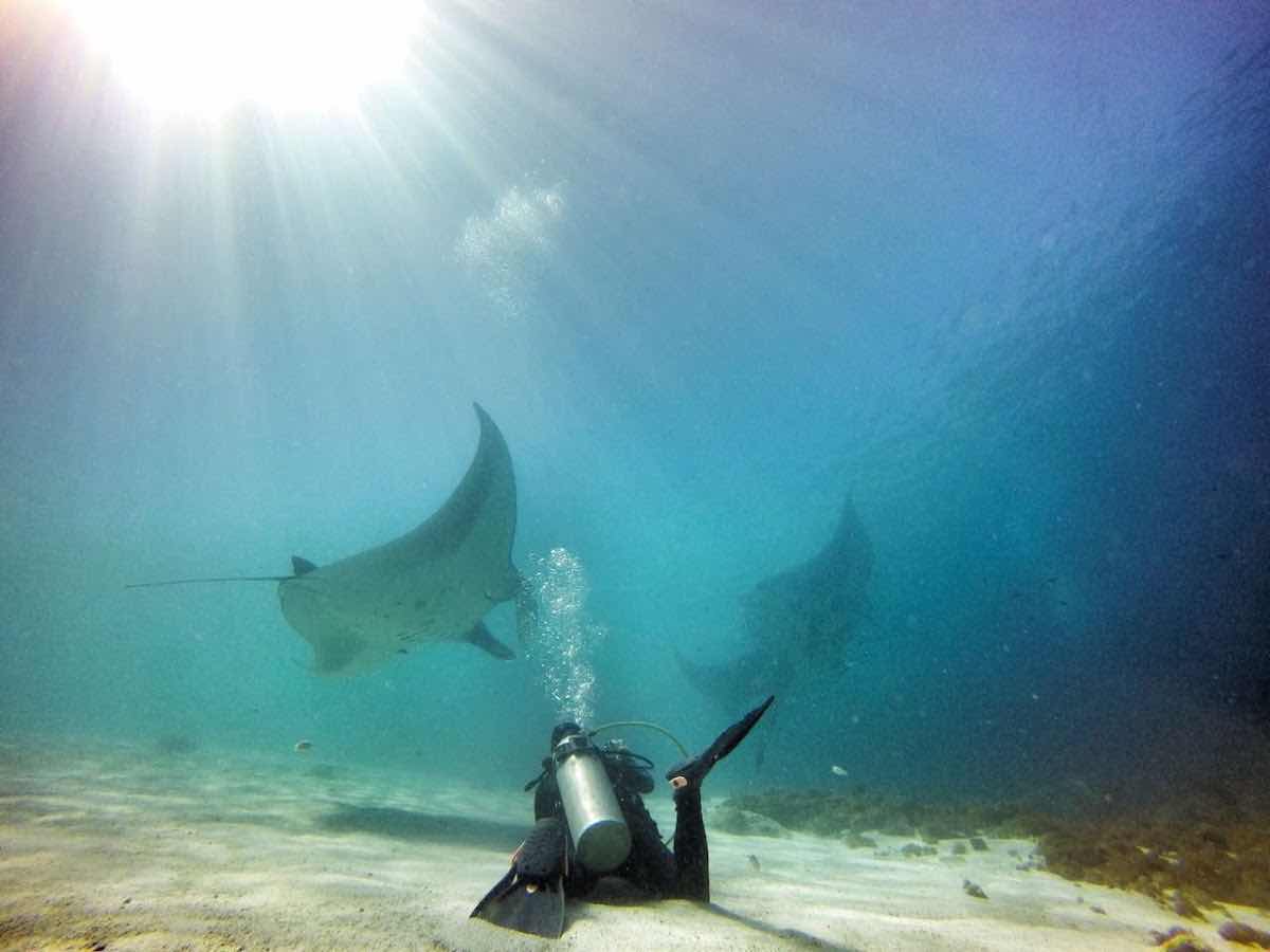 Uber Scuba Komodo photo 5