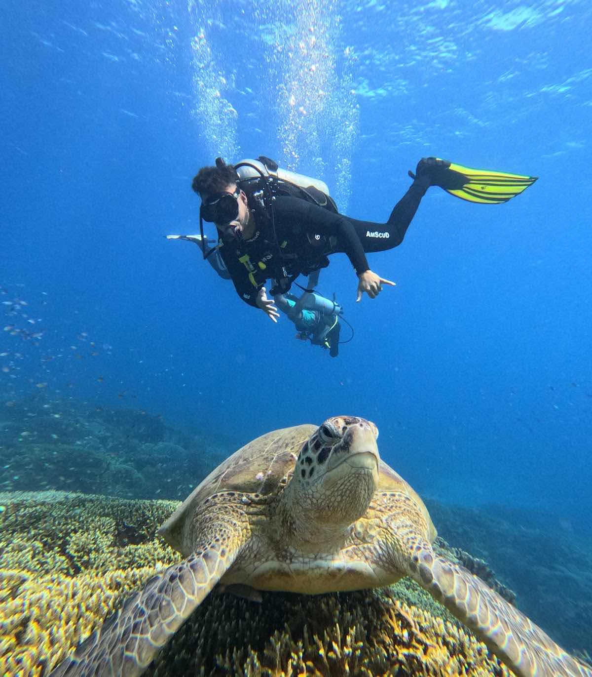 Uber Scuba Komodo photo 7