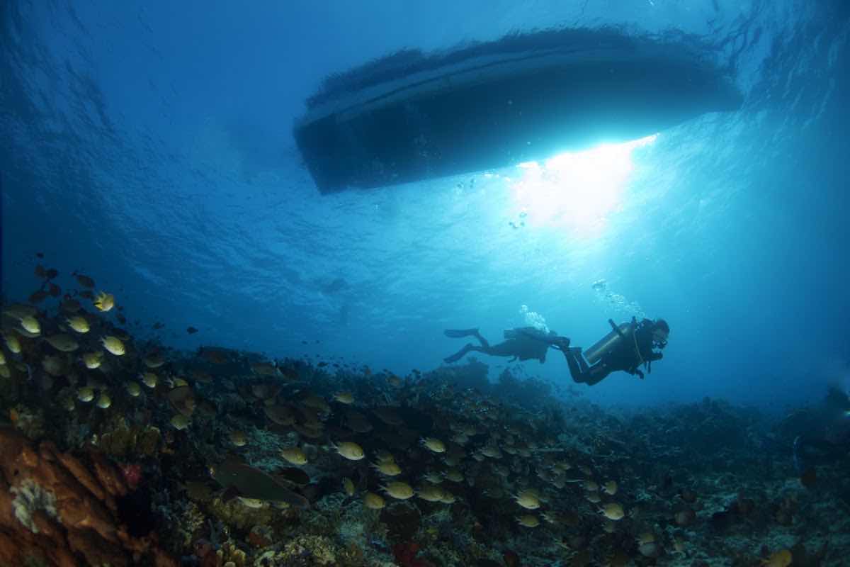 Uber Scuba Komodo photo 9