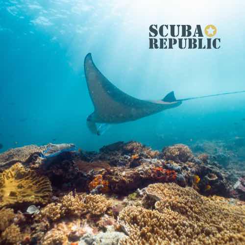 Uber Scuba Komodo photo 10