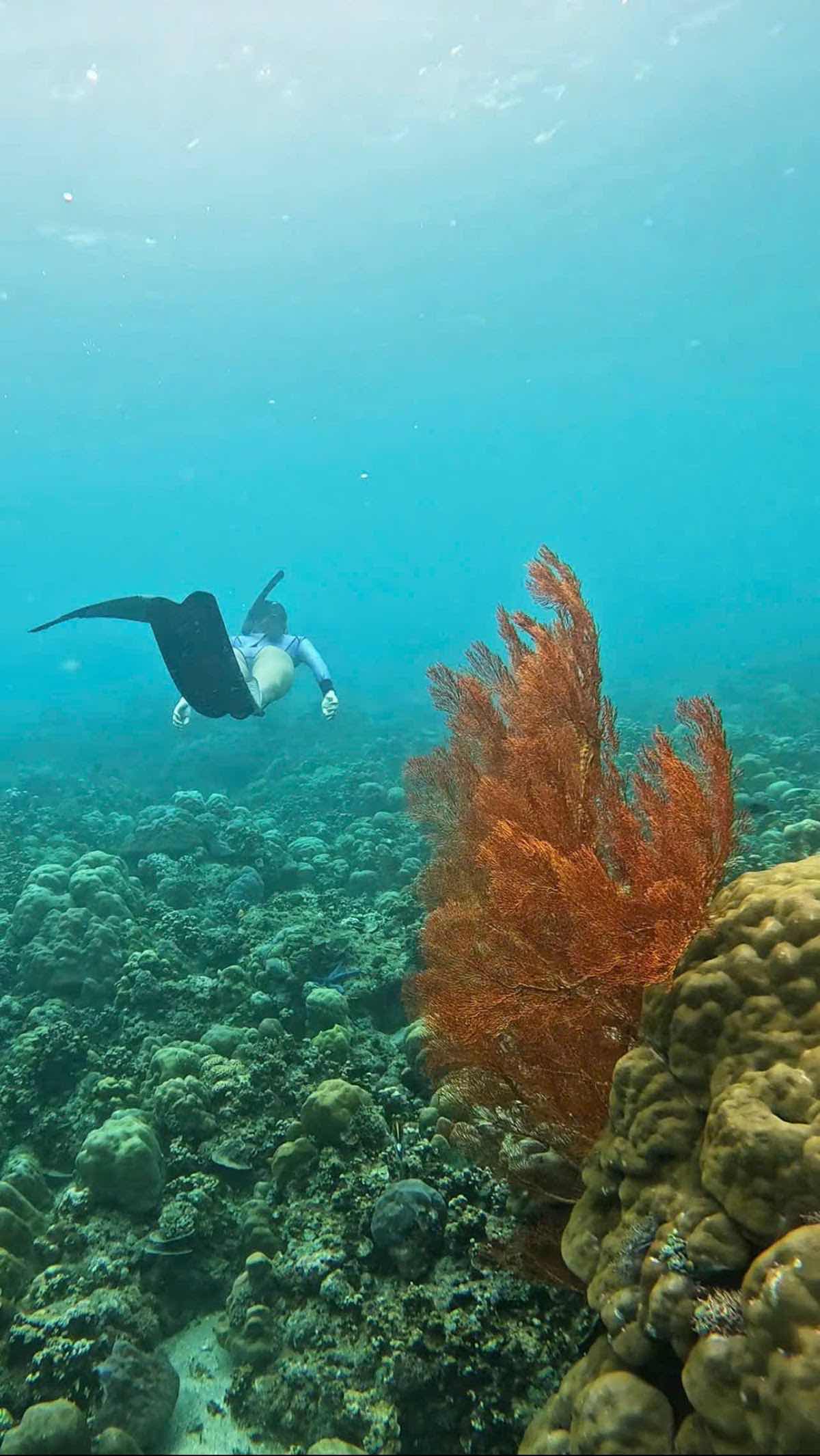Snorkeling in amed photo 1