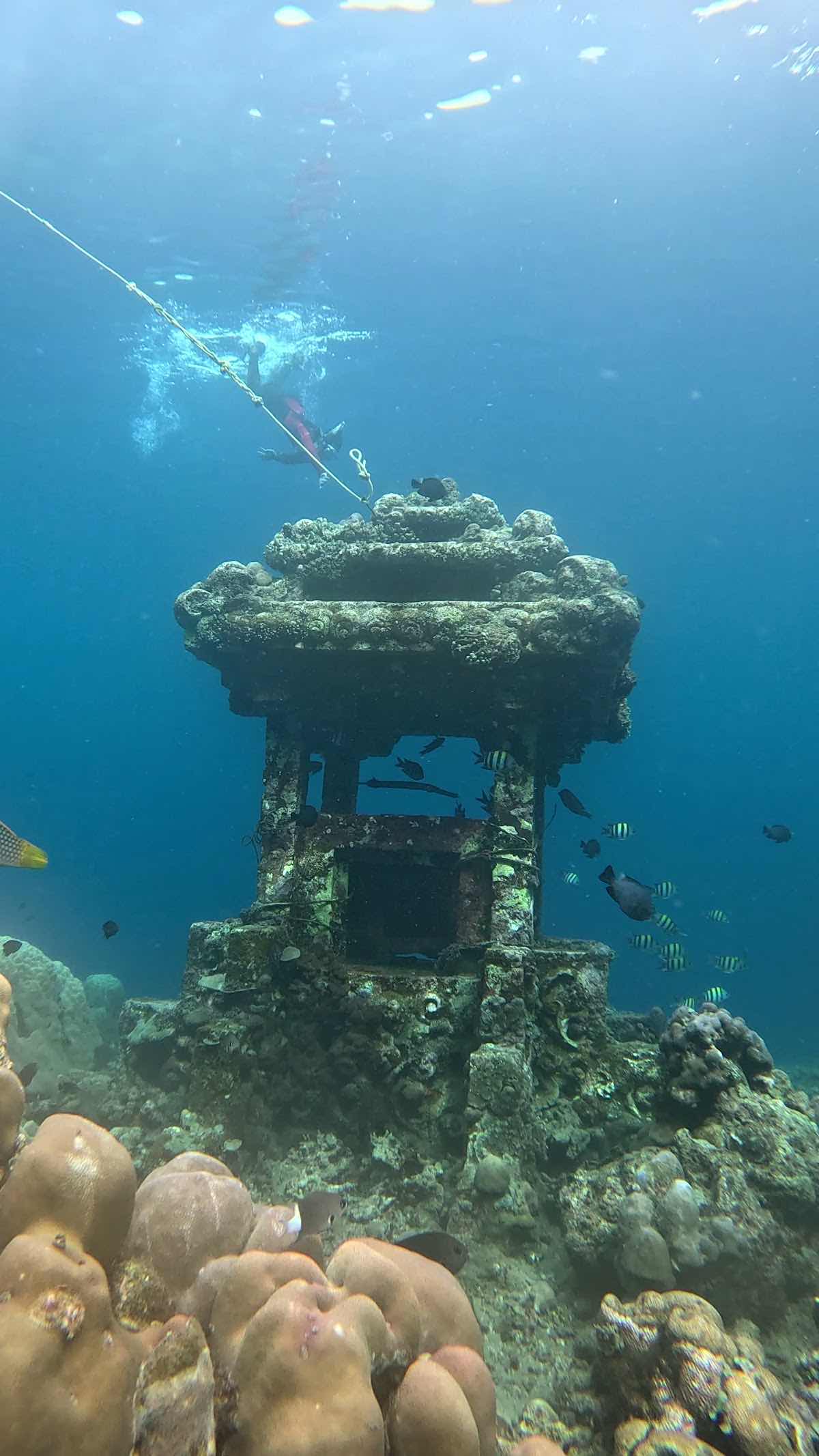 Snorkeling in amed photo 4