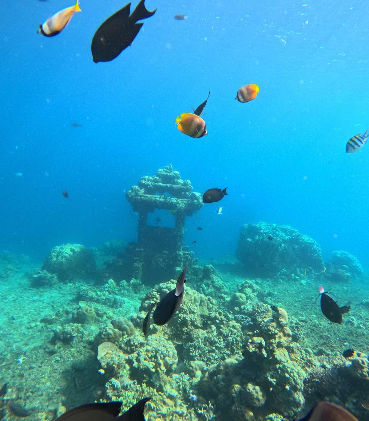 Snorkeling in amed photo 6