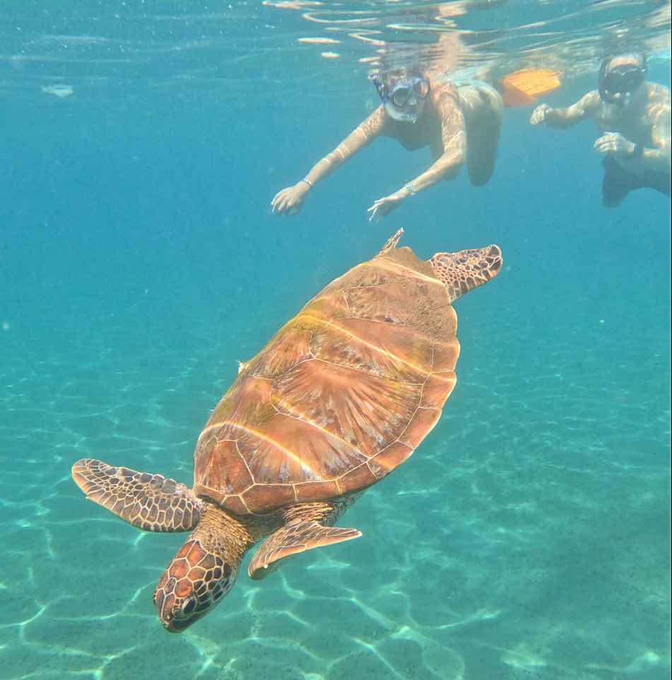 Snorkeling in amed photo 8