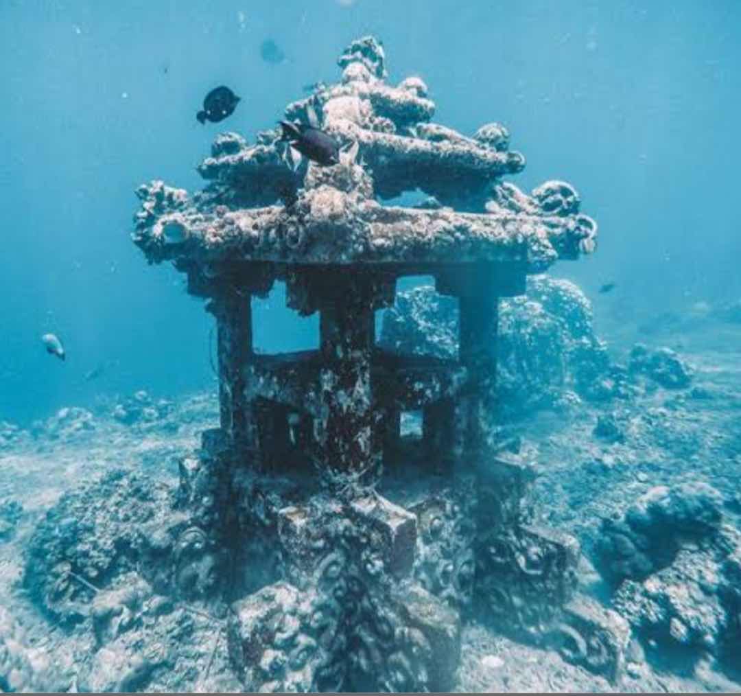 Snorkeling in amed photo 9