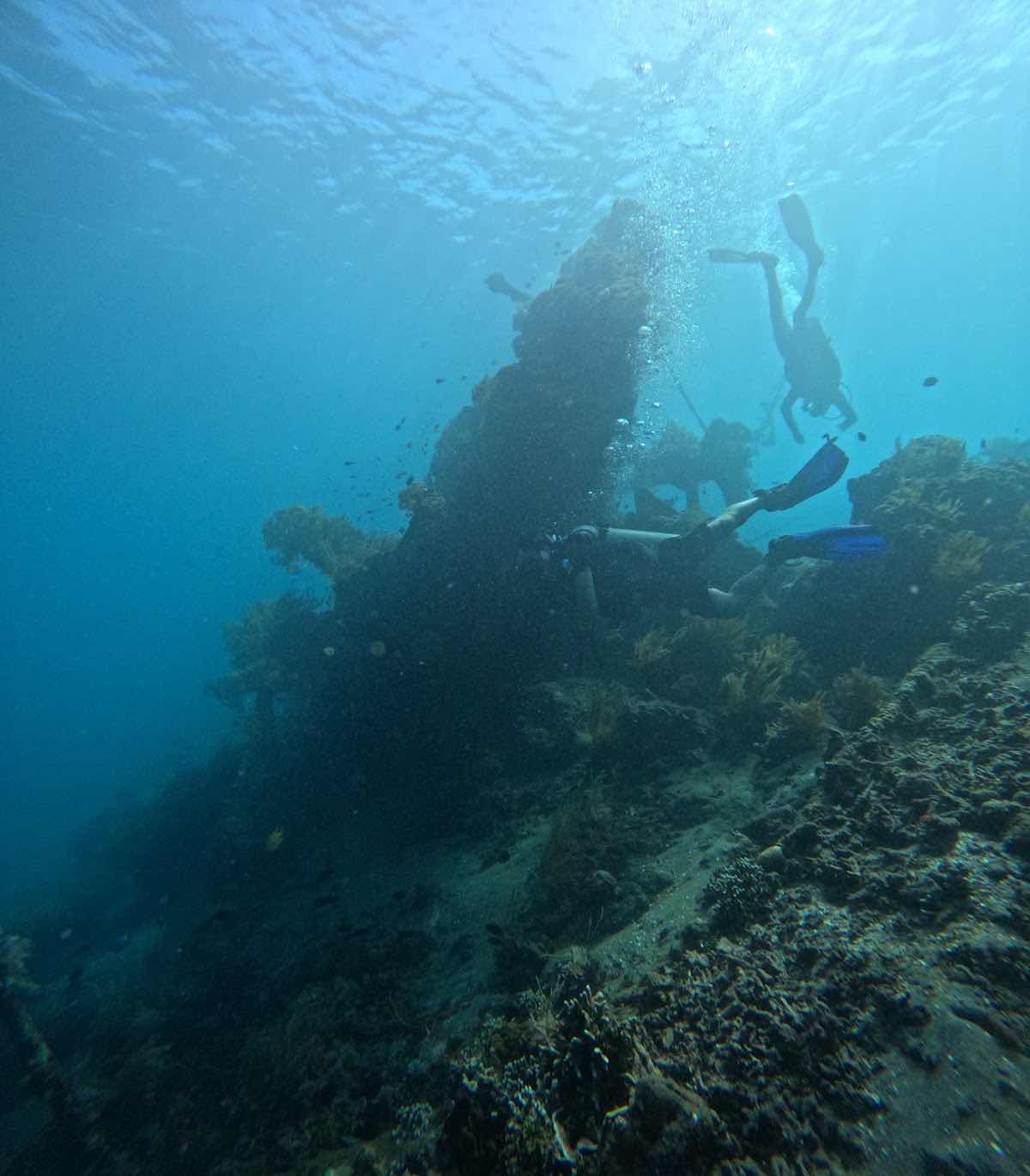 Snorkeling in amed photo 10