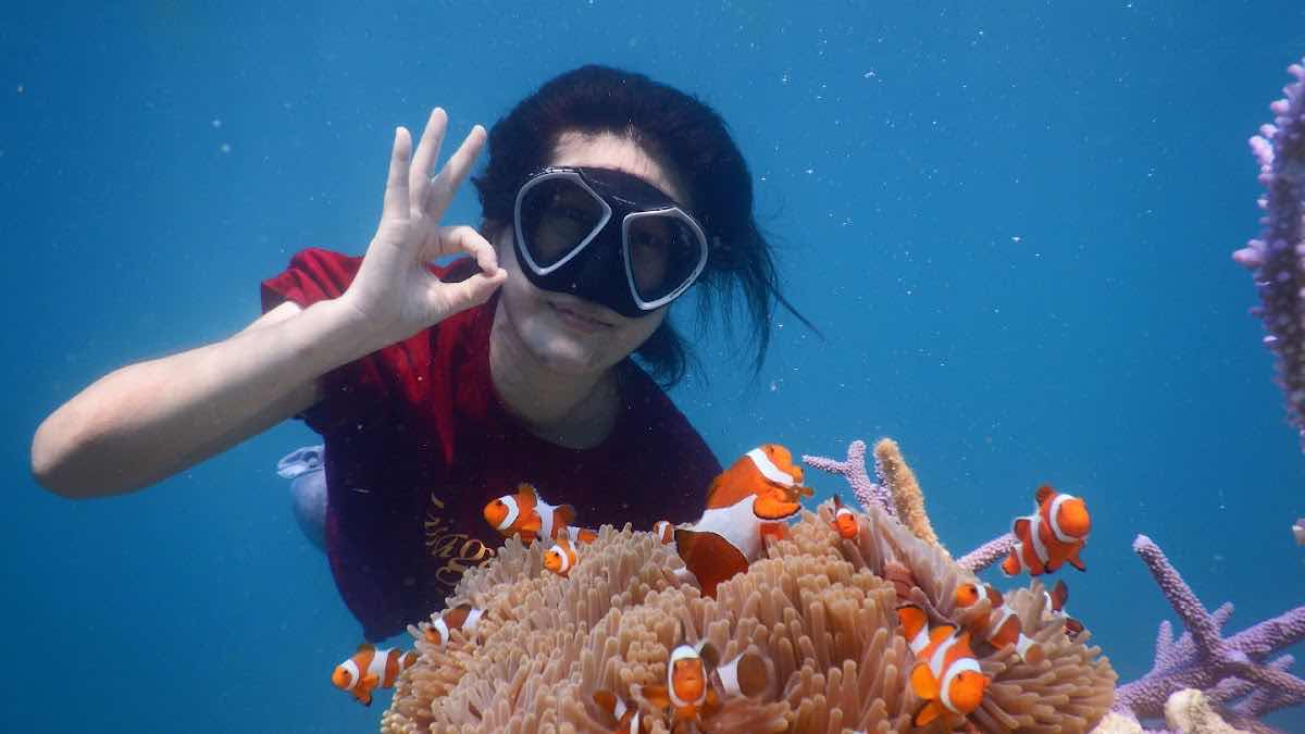 Kemujan Diver's photo 7