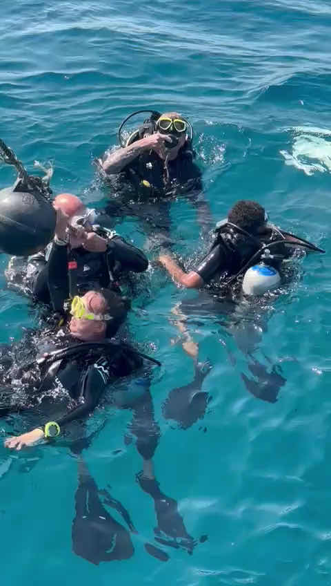 The Scuba Squad Ko Chang - PADI 5 Star IDC Center - Deutsche Tauchbasis photo 4