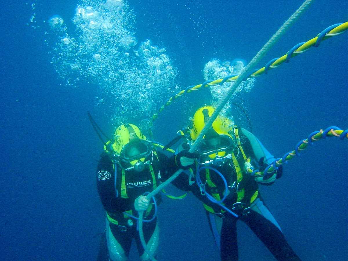 Professional Diving Centre photo 6