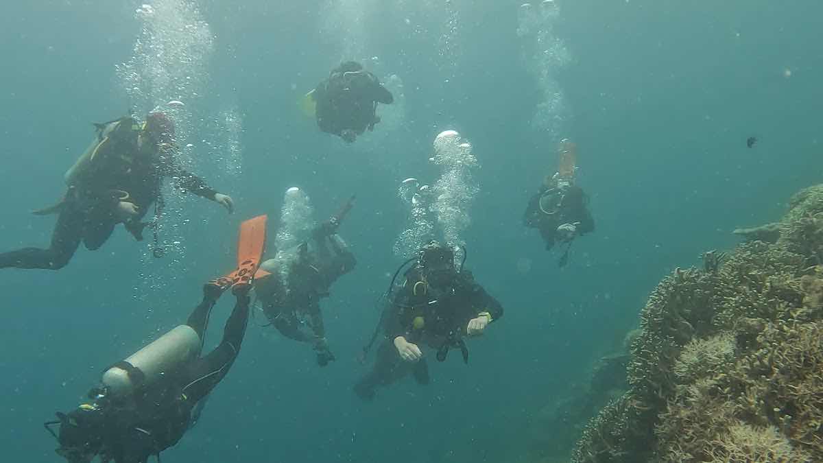 Coron Sarang Dive Club photo 3