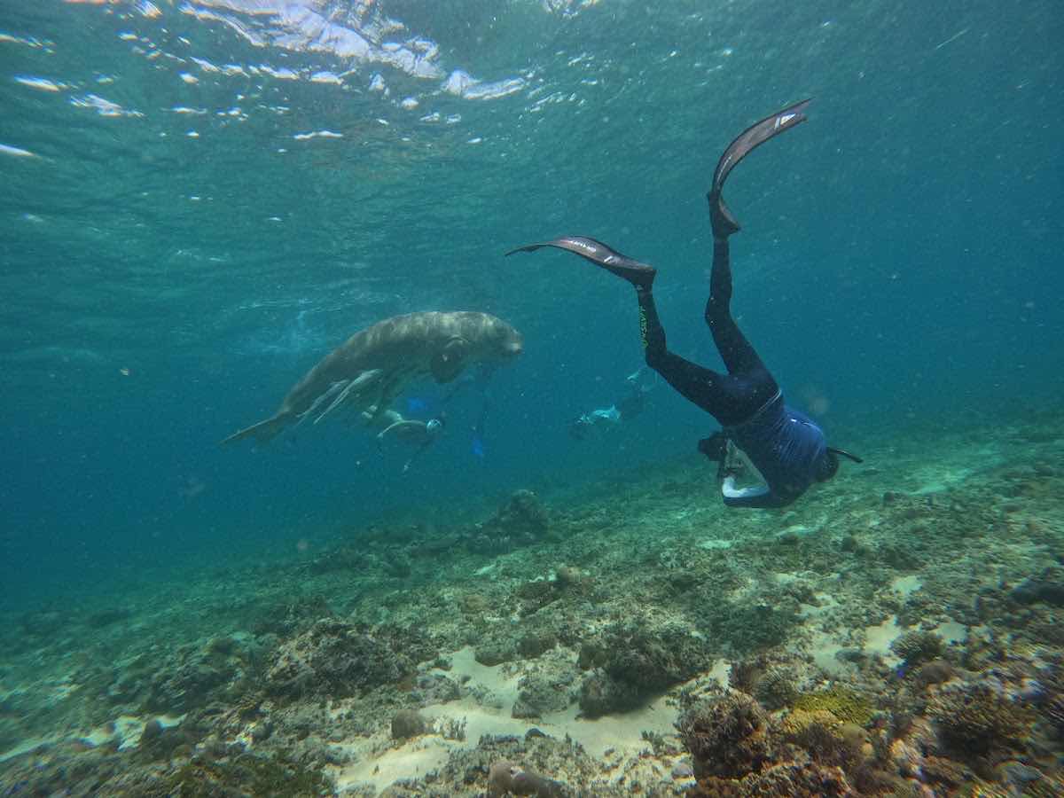 Coron Sarang Dive Club photo 9
