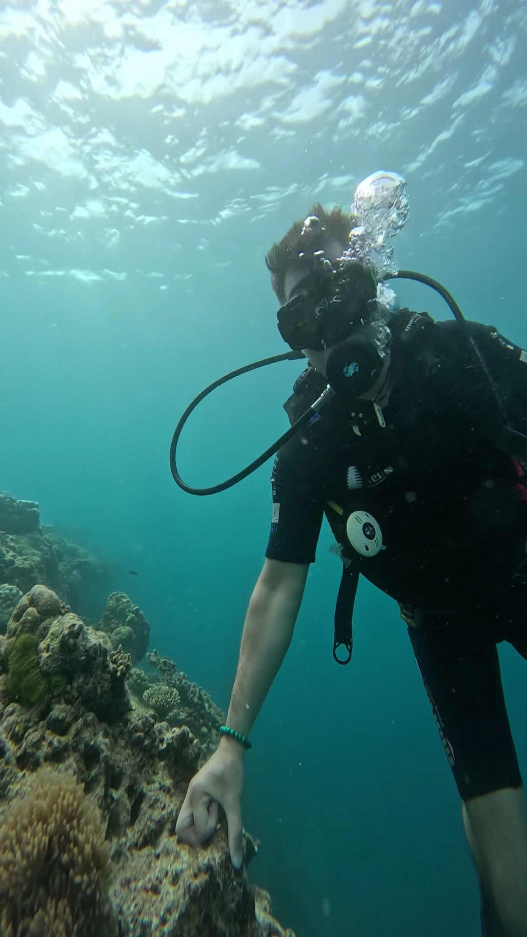 Sinai Dive Club Maldives photo 3