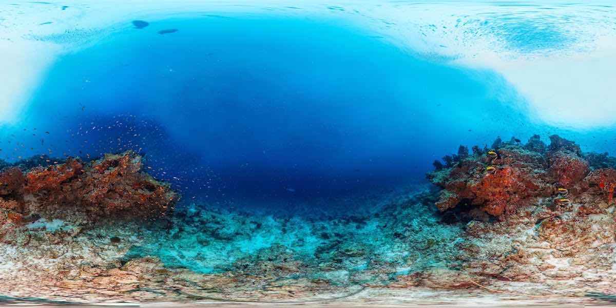 Sinai Dive Club Maldives photo 6