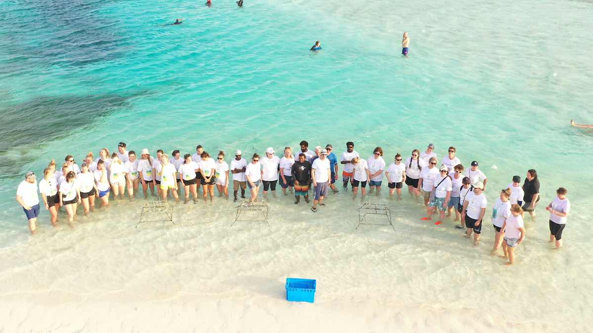 Sinai Dive Club Maldives photo 8