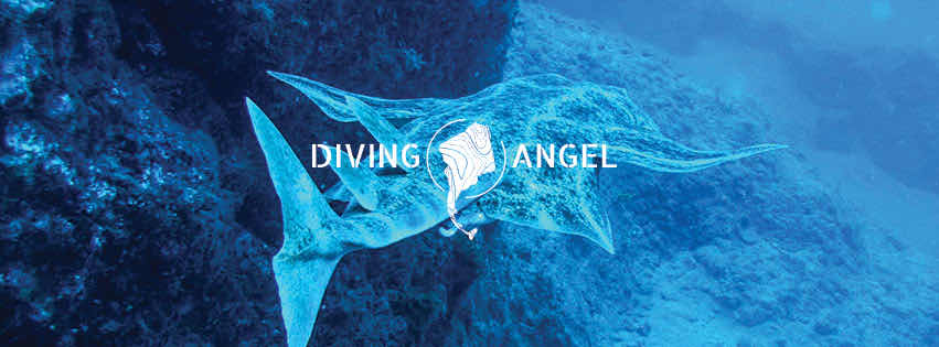 Pama Diving photo 7
