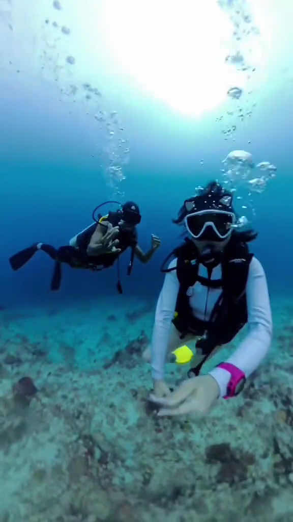Semporna Diver RexTeam photo 4